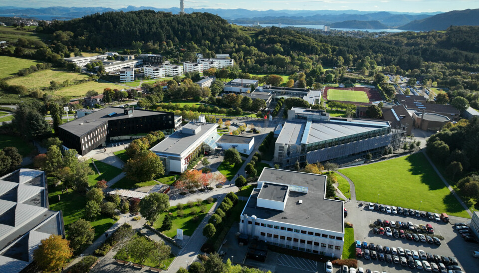 Styret ved Universitetet i Stavanger får 19. september på bordet en plan for å få ned klimautslippene her på campus i Stavanger.