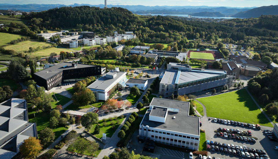 Styret ved Universitetet i Stavanger får 19. september på bordet en plan for å få ned klimautslippene her på campus i Stavanger. Styret ved Universitetet i Stavanger får 19. september på bordet en plan for å få ned klimautslippene her på campus i Stavanger.