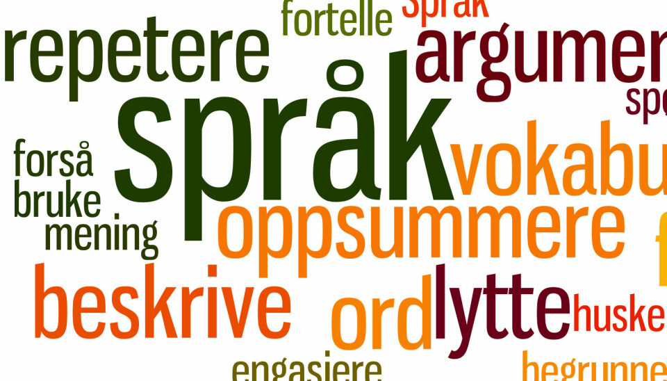 En rekke ord, der 'språk' er størst er satt sammen visuelt  i en ordsky i ulike farger. Andre ord er argumentere, forklare, oppsummere, lytte, beskrive bl.a.