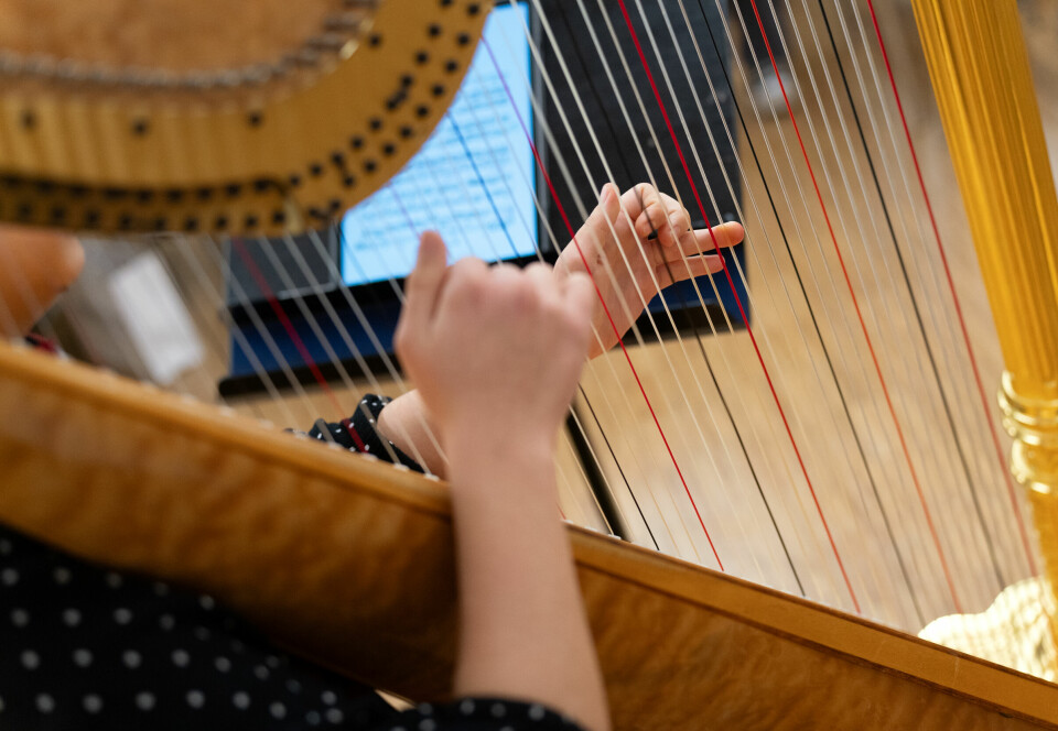Harpa har ei fem tusen år lang historie, men er i dag eit instrument med stort behov for fleire utøvarar.