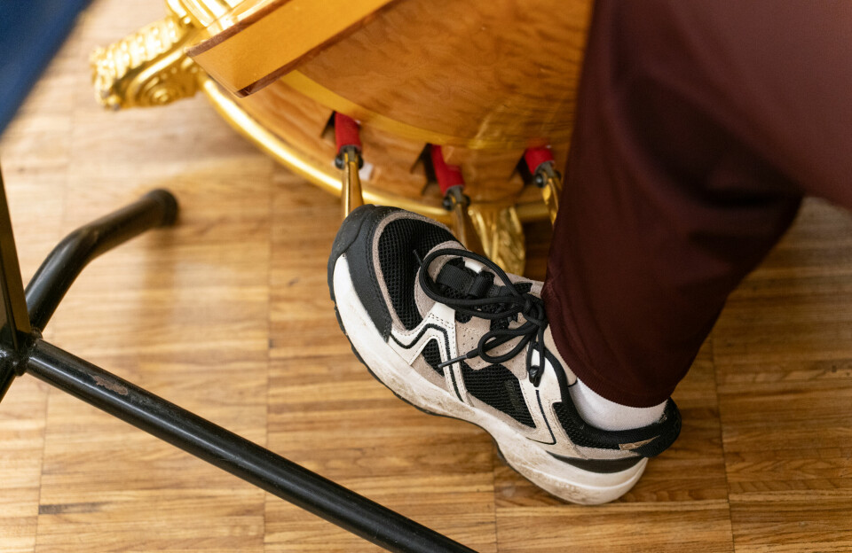 Sju pedalar, førtisju strengar, seks og ein halv oktav. Den moderne konsertharpa vart konstruert på 1800-talet og opna for at harpa kom inn i kunstmusikken.