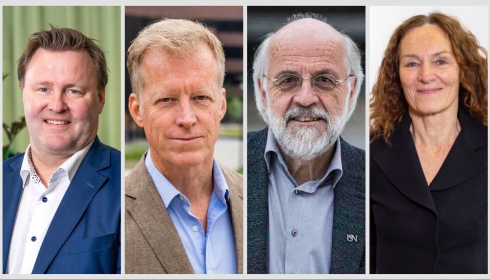 Espen Rostrup Nakstad, Curt Rice , Petter Aasen og Camilla Stoltenberg er blant de over 1100 navnene som er foreslått til å porteføljestyrene.