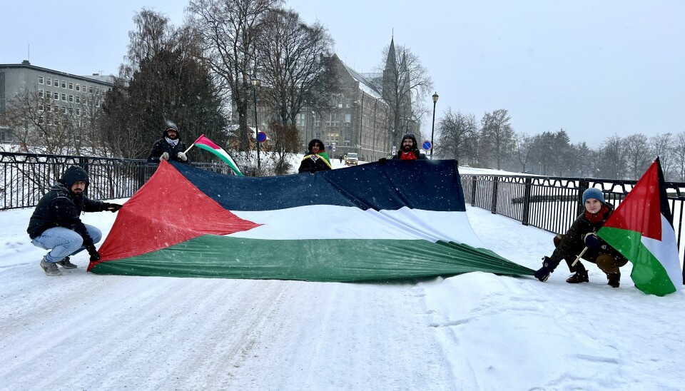 Demonstrasjon med palestinske flagg.