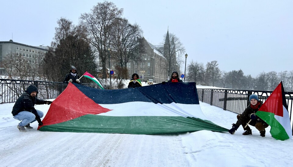 Demonstrasjon med palestinske flagg.