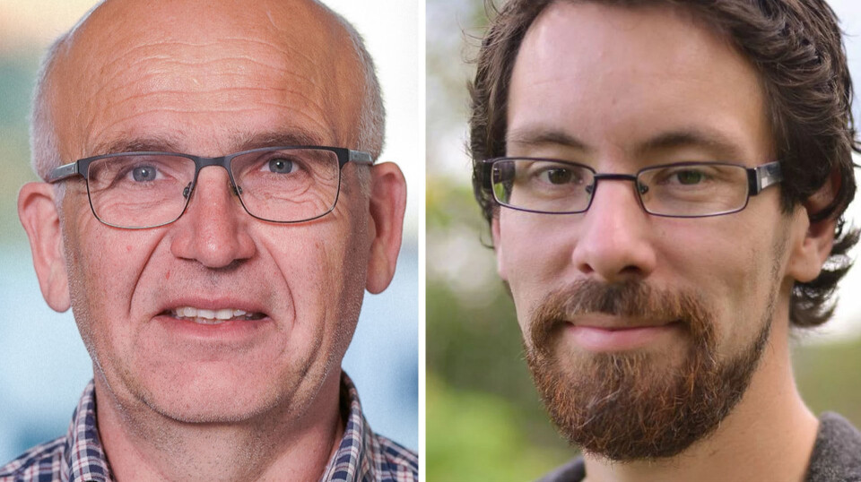 Hva som er best for den faglige utviklingen, er ikke opp til oss å avgjøre, og det bør heller ikke overlates til ledelse eller vurderingskomitéer, skriver kronikkforfatterne.