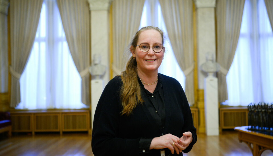 Lise Selnes, Arbeiderpartiet, har vært saksordfører for behandlingen av UH-loven.