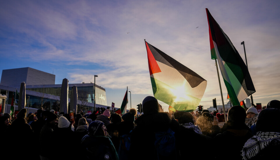 Det demonstreres mot krigen på Gaza, både i Norge og i mange andre land. Ved Brown University i USA har studenter både sultestreiket og vist misnøye på andre måter.