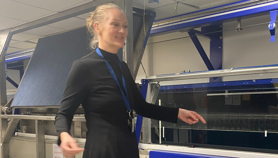 GRUER SEG: Tone Røknes, studieprogramansvarlig for Havteknologi, Marinteknikk og Energiteknologi på HVL ser ikke fram til å måtte ta ut teknisk fag fra studieplanene.