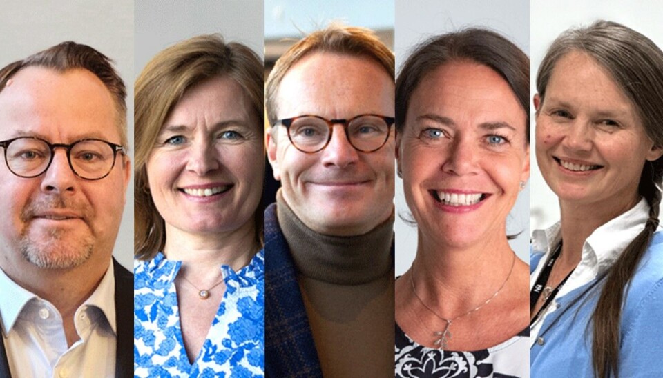 Disse er ansatt: Fra venstre Stephan Hamberg, Cecilie Varsi, Per-Ludvik Kjendlie, Heidi Ormstad og Elisabet Syverud. Portretter av Stephan Hamberg, Cecilie Varsi, Per-Ludvik Kjendlie, Heidi Ormstad og Elisabet Syverud.