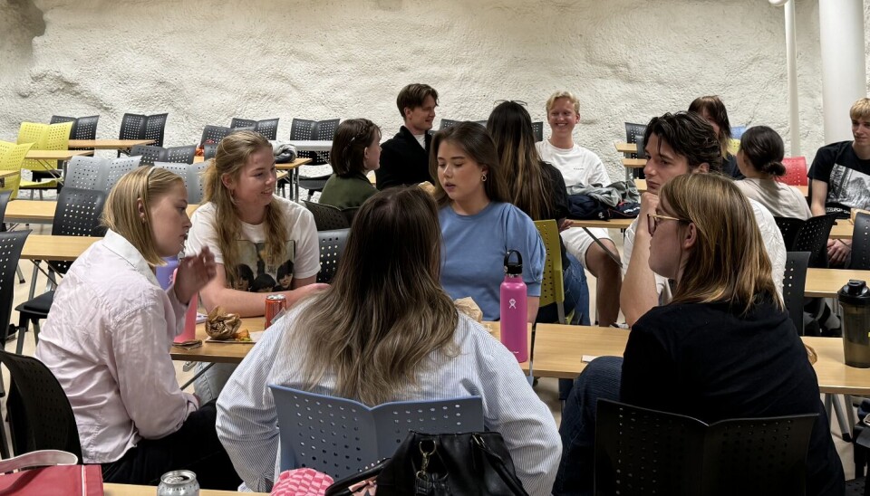 Nye studenter på bøllekurs Her lærte de om saklighet, meningsmangfold og hersketeknikker. Gruppearbeid på bøllekurs