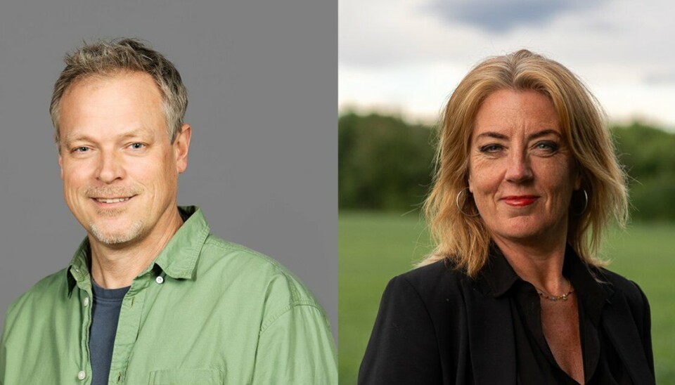 Professorene Steinar Sæther og Hilde Gunn Slottemo utgjør den nye ledelsen i Forskerforbundet fra 1. januar, dersom innstillingen vedtas i representantskapsmøtet i november.