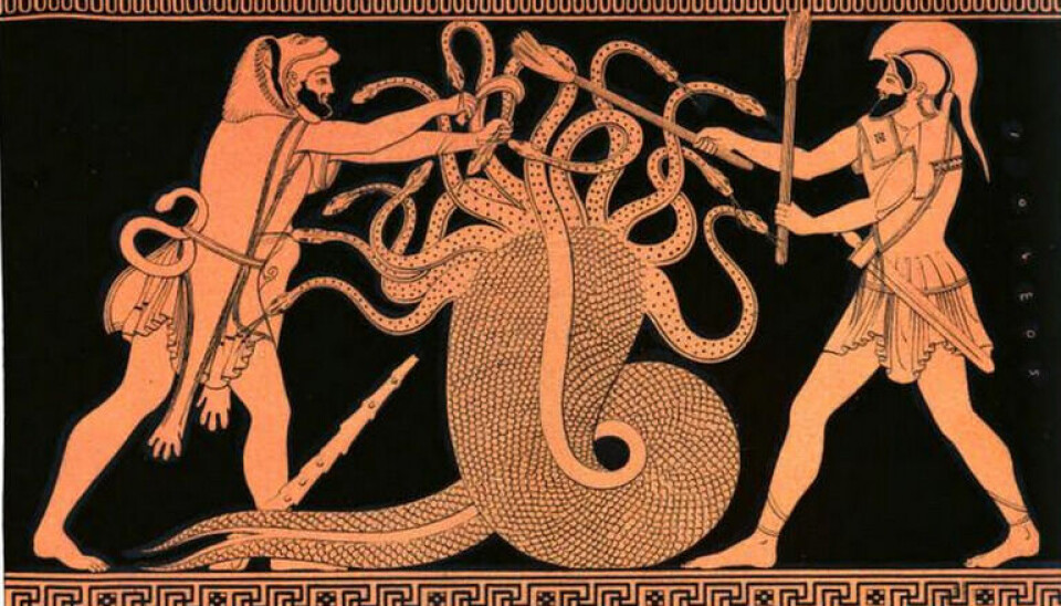Dette vasebildet fra 1843 viser Hercules og Iolaos som bekjemper udyret Hydra i fellesskap. Tegning i svart og gult av de to greske heltene