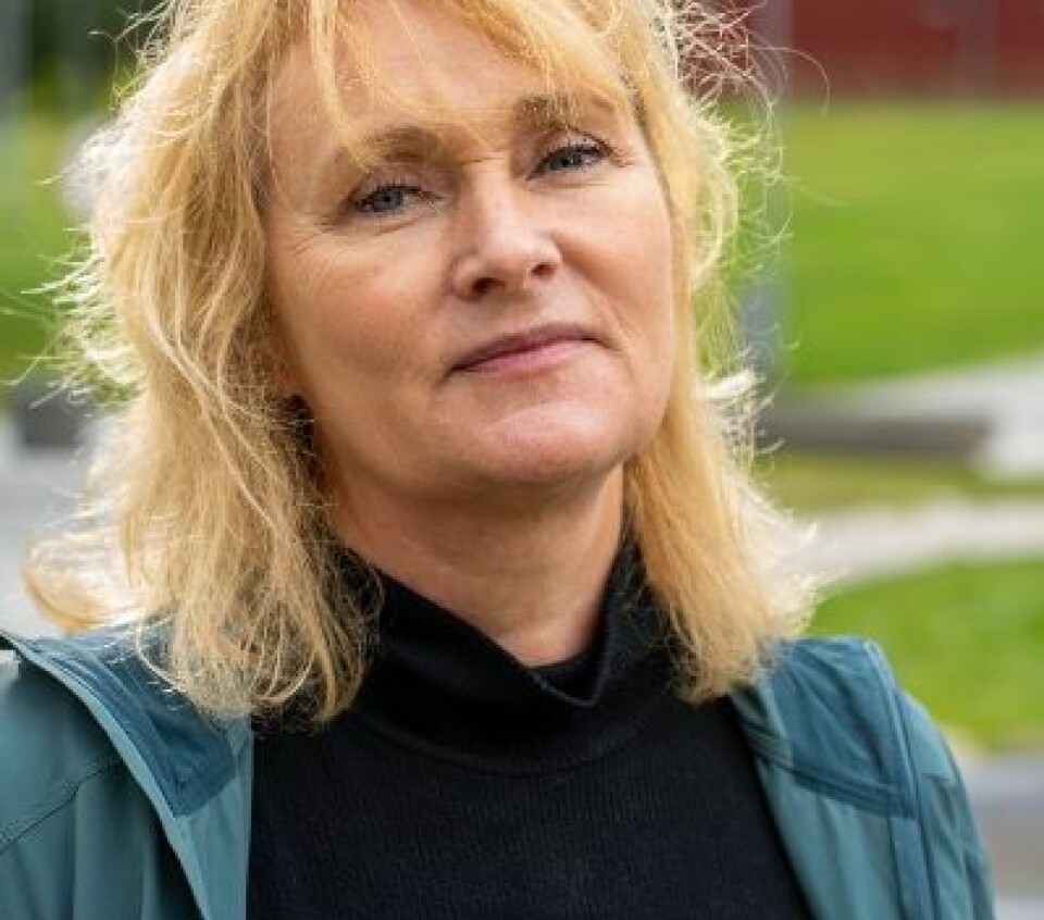 Man må være på vakt mot at ekspertisen får for stor innflytelse på demokratiske beslutninger, de er også mennesker med meninger, sier professor Hilde Bjørnå.