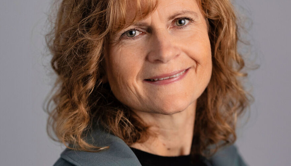 Fra instituttleder til dekan: Marielle Christiansen. Portrett Marielle Christiansen