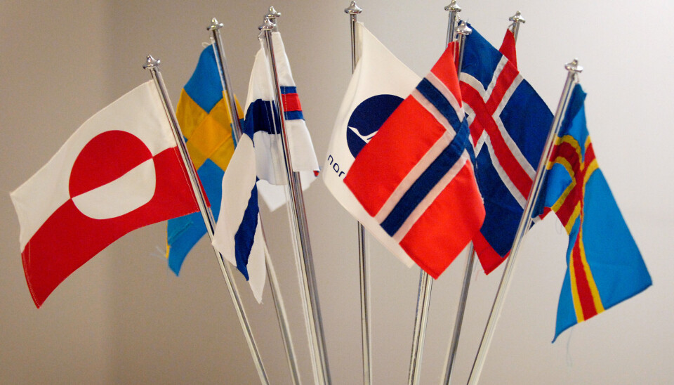 Selve hjertet i den nordiske modellen er utdanningssystemene våre, skriver forfatterne. — De bygger på likeverd og høy kvalitet og utgjør grunnlaget for våre demokratiske og velfungerende samfunn. De forskjellige nordiske flaggene side ved side.