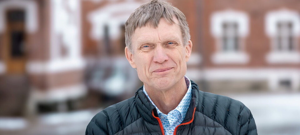 Klart for andre runde i rektorvalget ved NMBU