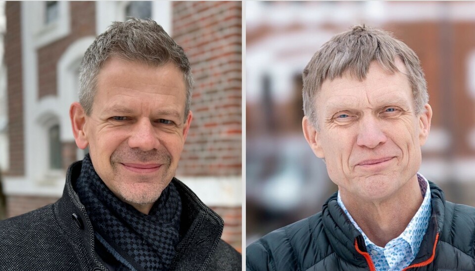 Klart for andre runde i rektorvalget ved NMBU