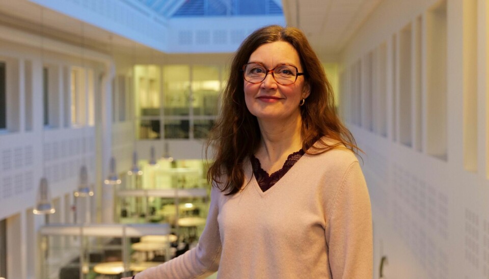 Marit Sletmoen, prorektor for forskning ved Universitetet i Innlandet, er fornøyd med utviklingen på publiseringsfronten.