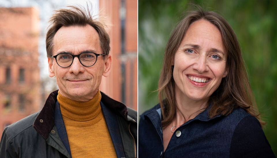 Vi mener at politikken fremover bør gjenspeile det vi vet om profesjonene, og gi oss profesjonsutdanninger som kan utdanne folk som er gode både i teori og praksis, skriver forfatterne.