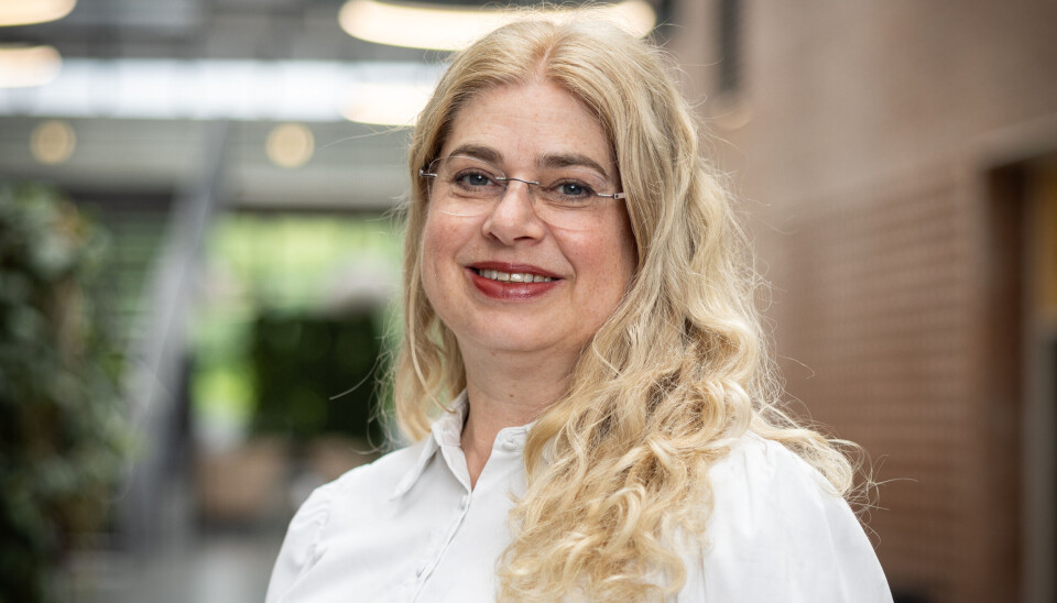 Personal- og organisasjonsdirektør Helene Braathen sier at Universitetet i Agder har hatt økt oppmerksomhet på bruk av overtid siden internrevisjonen i 2018.
