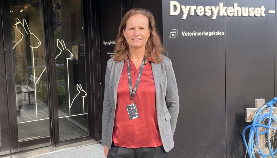 Administrasjonsdirektør Anne Storset forklarer overtidsbruk ved NMBU med døgndrift ved dyresykehuset.