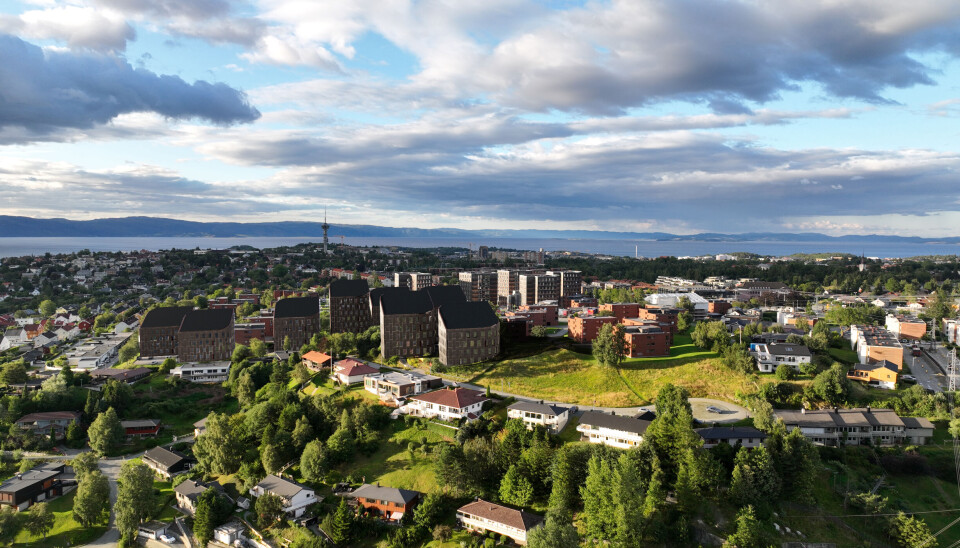Hva er viktigst — gravhaug eller studentboliger? — I Sit etterlyser vi en praksis som bedre balanserer hensynet til fortid og fremtid, skriver forfatteren. Illustrasjonen viser de planlagte studentboligene på Moholt i Trondheim.