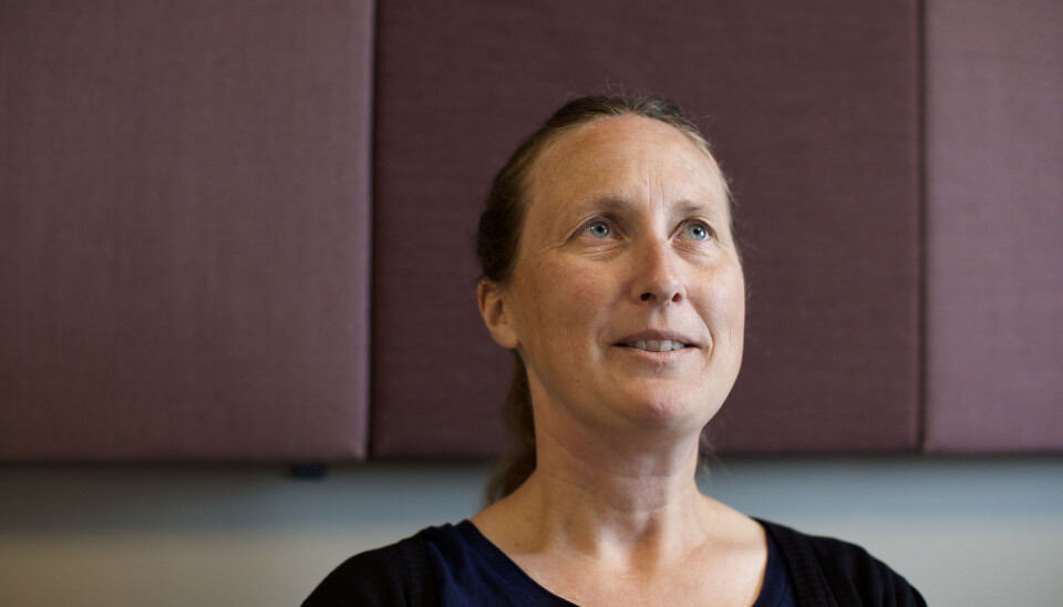 — Når jeg gjør bokprosjekter, så er det gjerne fordi det er noe jeg har lyst til å finne ut av selv, sier førstelektor Anja Røyne. Til høsten gir hun ut en ny bok.