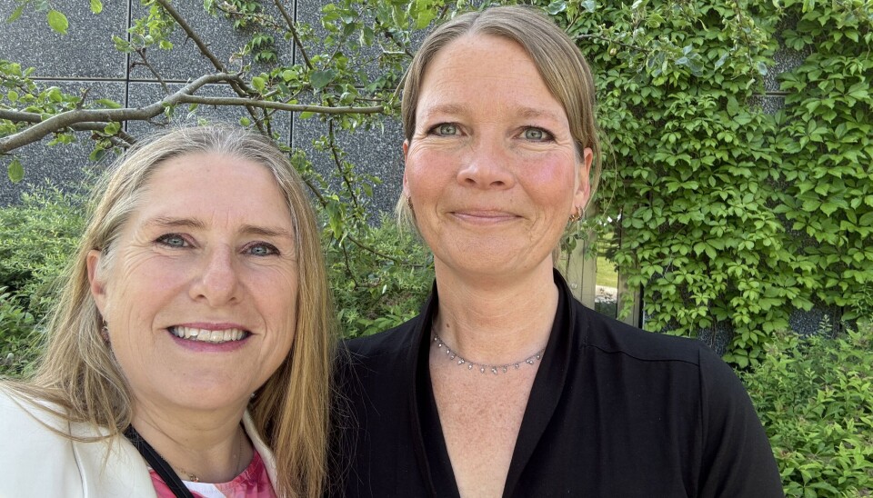 Et samfunn uten humaniora, er et samfunn uten kunnskap om komplekse eksistensielle, etiske og filosofiske problemstillinger, skriver forfatterne.