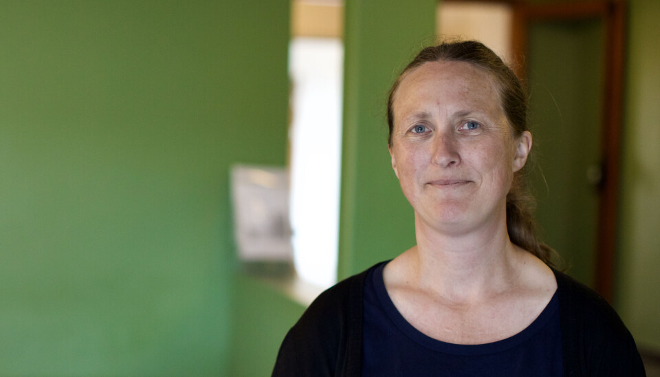 Anja Røyne ville finne ut litt om økonomi, så hun tok en master i samfunnsøkonomi: Hvis hver generasjon bare skal håpe på ungdommen, så skjer det ingenting. Ungdommen har ikke gjort noe gærent, og de voksne må skjerpe seg, sier hun.