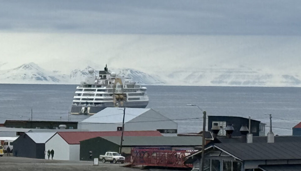 780 cruiseanløp er planlagt i år. Styresmaktene ønskjer meir kontroll med kor mange store skip som får legga til på Svalbard.