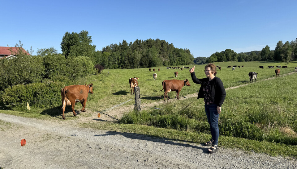 Hovedtillitsvalgt for NTL, Signe Kroken, har lenge vært bekymret for de ansatte ved senteret for husdyrforsøk, men er veldig glad for å se hvor godt kuene trives utendørs.