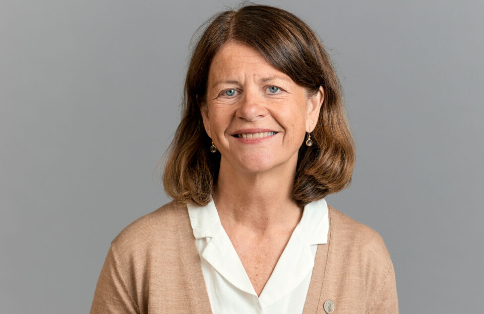 Gunn Mangerud, dekan NT-fakultetet, Universitetet i Bergen, vil ikkje uttale seg om det ho kallar ei personalsak. Gunn Mangerud, dekan NT-fakultetet, Universitetet i Bergen