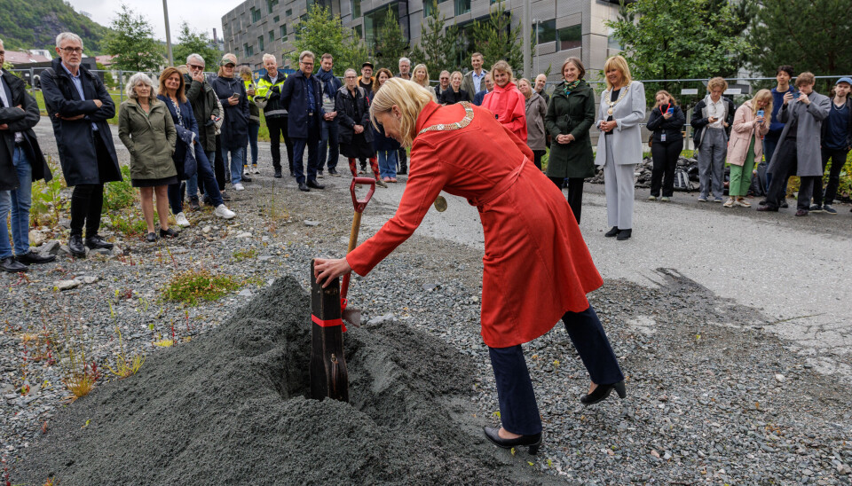 En gammel fiolinkasse kan også fungere som grunnstein.