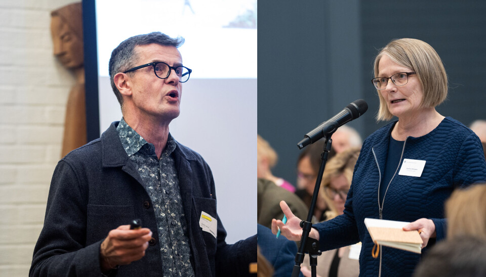 Rektorene Klaus Mohn ved Universitetet i Stavanger og Sunniva Whittaker ved Universitetet i Agder har brukt og vil bruke store summer på å bygge opp profesjonssutdanninger i psykologi. Skuffelsen er stor over at penger til studieplasser lar vente på seg.