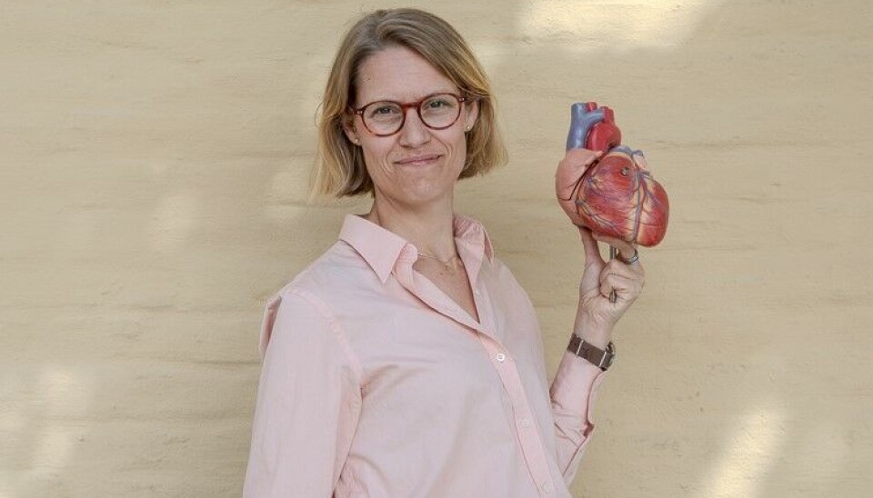 Stipendiat Marit Sandberg ved Universitetet i Bergen har disputert på en avhandling om kvinner med medfødt hjertesykdom og hva som skjer når de får barn. Kvinne i rosa skjorte holder en modell av et anatomisk korrekt hjerte