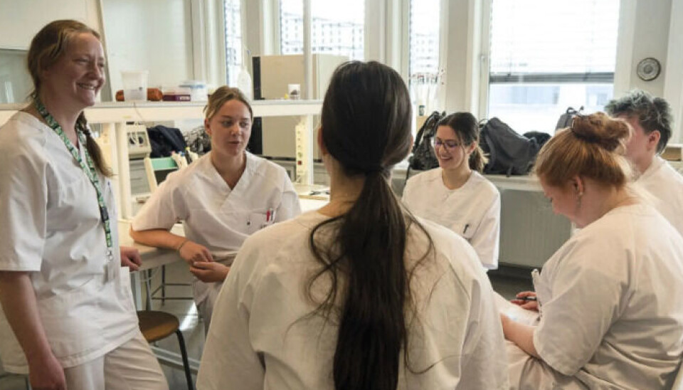 Studieprogramleder Elisabeth Ersvær (til venstre) gir praktisk laboratorieopplæring til noen av bioingeniørstudentene ved Universitetet i Innlandet. Elisabeth Ersvær sammen med studenter i hvite labb-frakker.