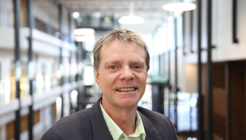 Til tider har jeg opplevd arbeidsmiljøet som en jungel, der man har måttet se seg over skulderen for å unngå å bli angrepet av et rovdyr, skriver artikkelforfatteren. Anders Örtenblad