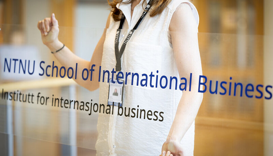 NTNU School of International Business er det nye navnet til tidligere Institutt for internasjonal forretningsdrift.